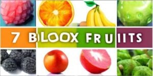 7 Best Roblox Games like Blox Fruits
